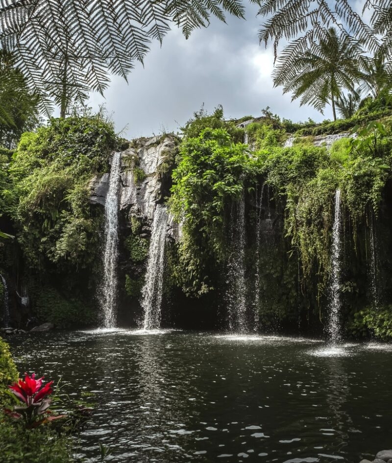 A serene waterfall cascades into a tranquil pool, surrounded by lush greenery and tropical ferns, under a cloudy sky.