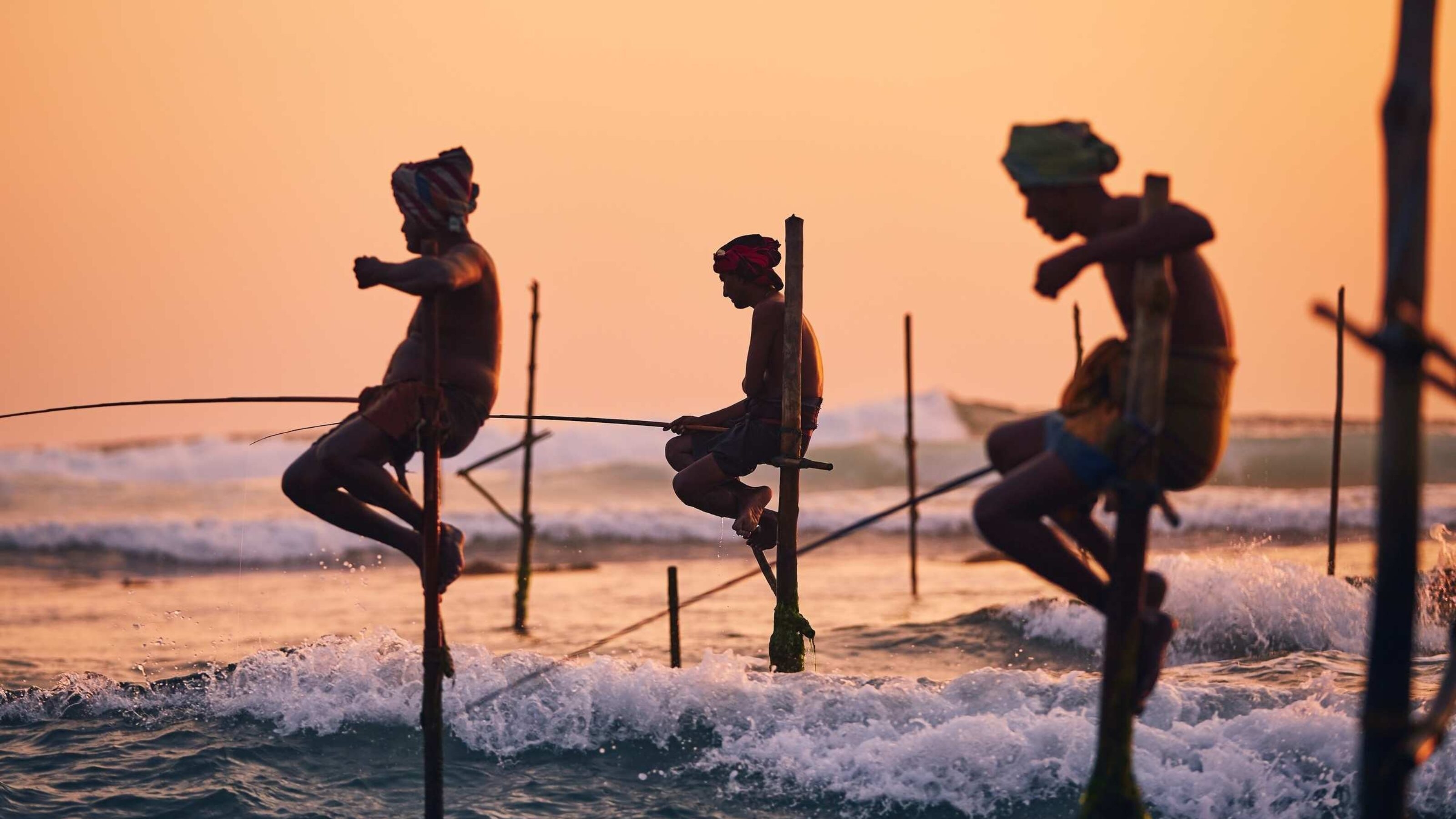 Traditional stilt fishing in Sri Lanka