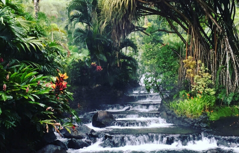Hot springs beneath lush vegetation in Arenal.
