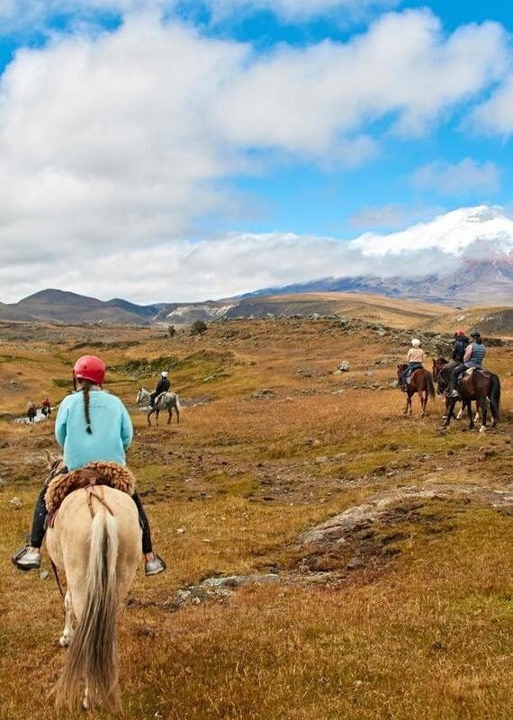Several people riding horses across a golden field with a large, snow-covered mountain in the distance.