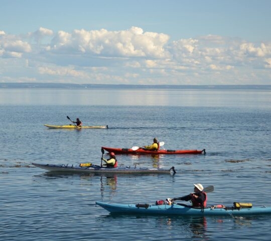 A group of people paddling kayaks in the sea