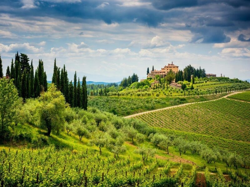 Chianti hills with vineyards Tuscany