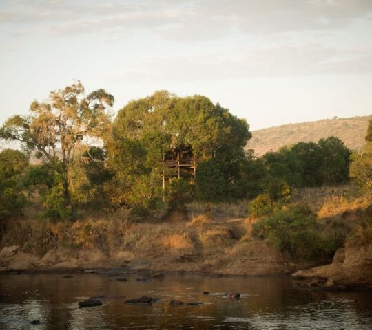 Serian's sleep out deck in the Masai Mara