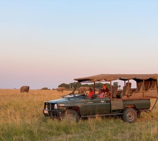 Game drive in the Masai Mara