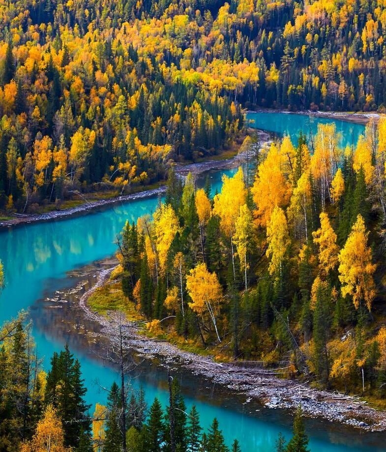 The autumn hues of Moon Bay in Xinjiang, China and a herd of goats gathered around a traditional yurt in western Mongolia.