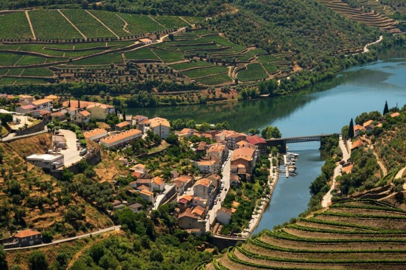 Aerial view of the Douro Valley and river
