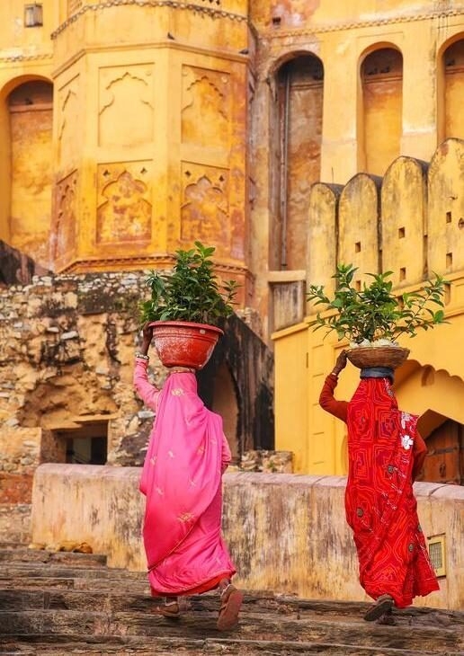Local women carrying pots with plants at Amber Fort, the intricately detailed facade of Mehrangarh and the sprawling ramparts of Chittorgarh Fort.