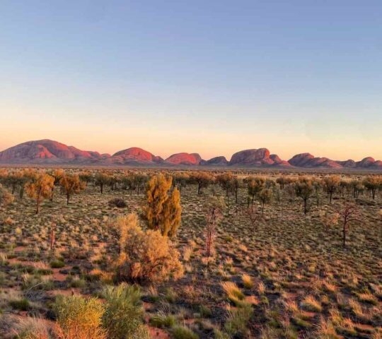 The Kata Tjuta Domes at sunset