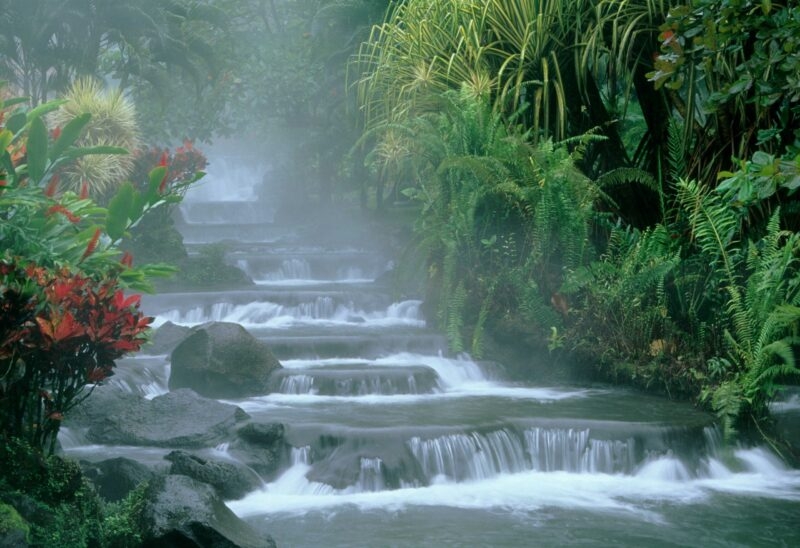 Steaming tiered waterfalls and hot springs surrounded by dense tropical jungle plants on luxury central america tours.
