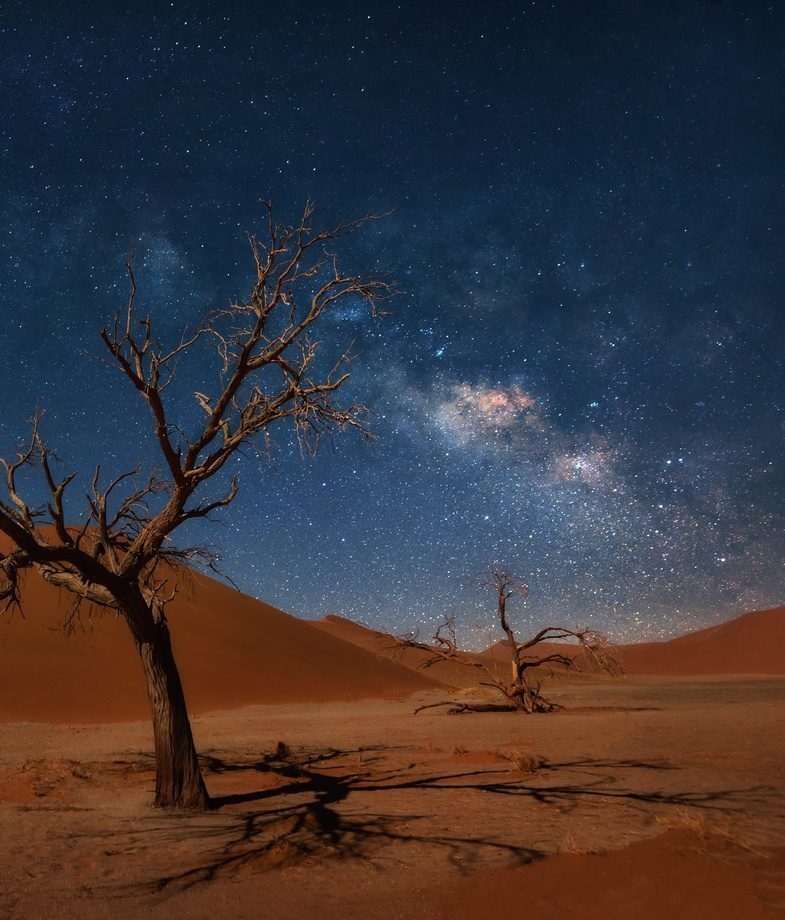 Rhino tracking at Wilderness Desert Rhino Camp and stargazing in the dunes at Sossusvlei