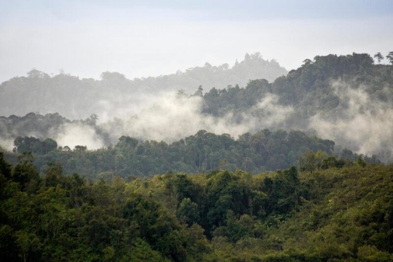 Mist rising from tropical forest after rainstorm at Batang Ai National Park, Sarawak (Borneo) Malaysia