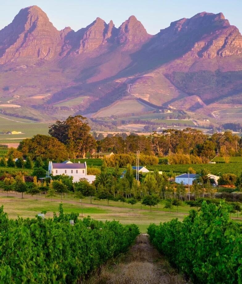 South Africa is home to some fantastic wine regions, including Stellenbosch, which sits on the coast