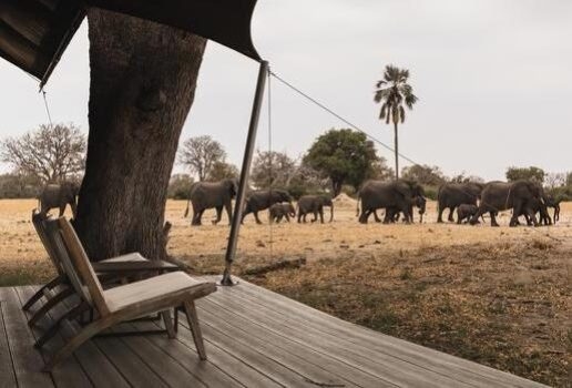 Relax among Singita Pamushana's Zimbabwean décor, swim in Matetsi's river facing infinity pool, or watch elephants from your deck at Wilderness Linkwasha