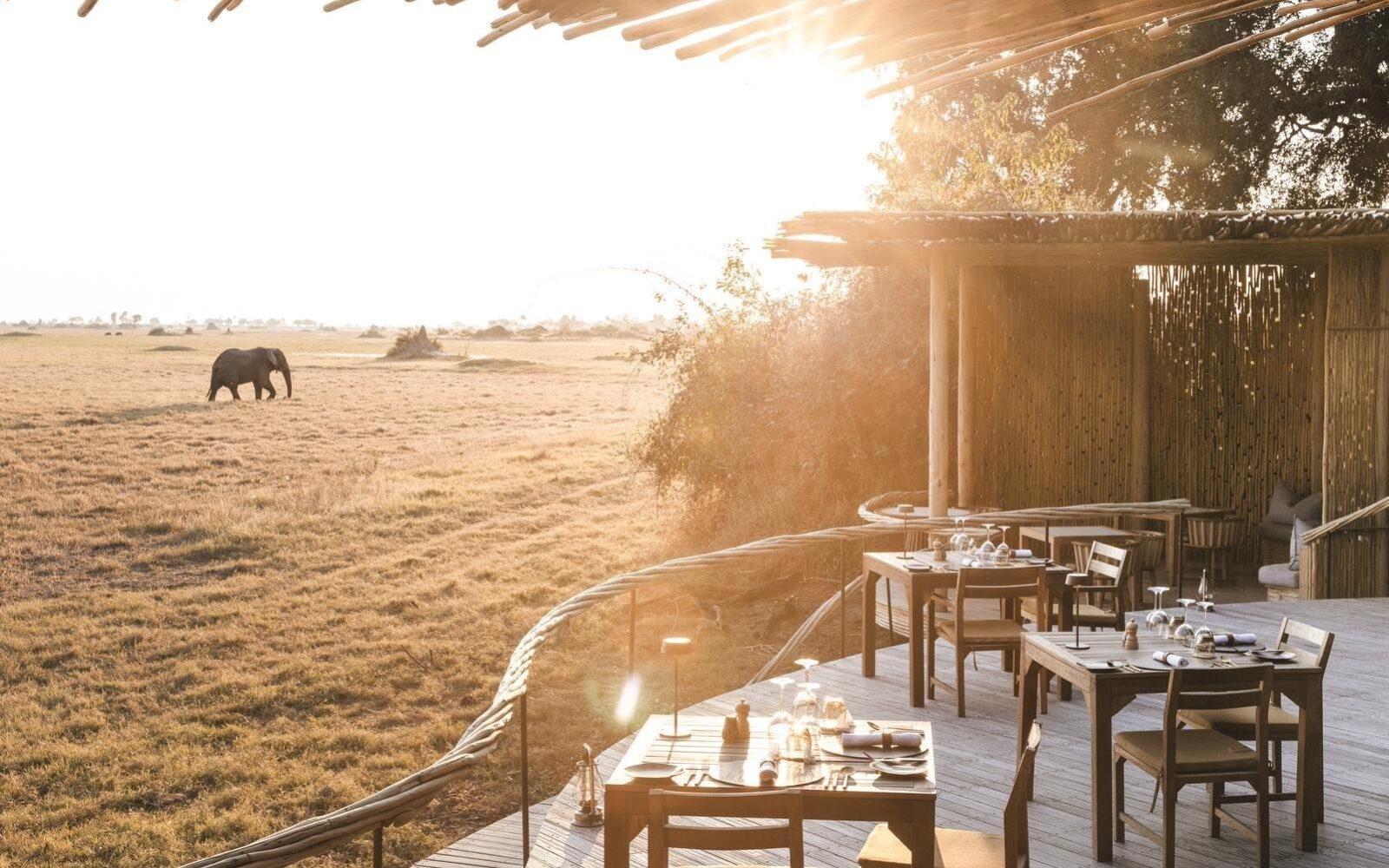 Watch wildlife in luxury from Wilderness Mombo Camp