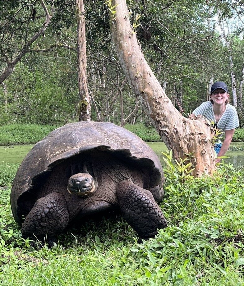 Climb to the summit of Bartolomé Island for sweeping views of Pinnacle Rock and meet the giant tortoises roaming freely in the lush highlands of the Galápagos.