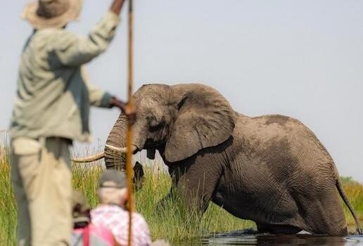 The Great Sphinx and Pyramids of Giza in Egypt, a mokoro safari gliding past elephants in Botswana’s Okavango Delta and the wildlife-rich plains of Singita Grumeti in Tanzania.