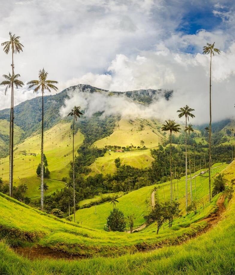 The overwater villas of Song Saa Private Island Resort in Cambodia and the misty green hills of Colombia’s Coffee Triangle.