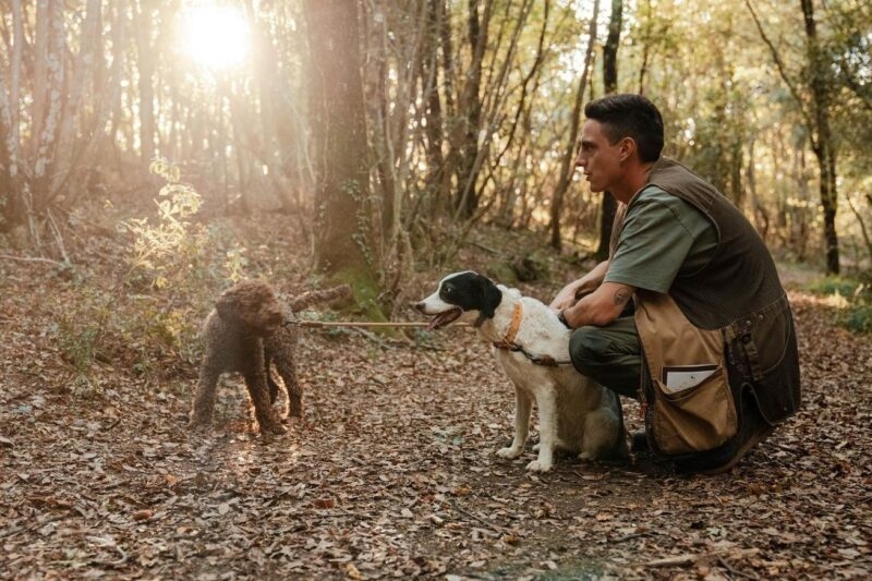 Luxury European Tours - A truffle hunting guide with this dogs in Italy