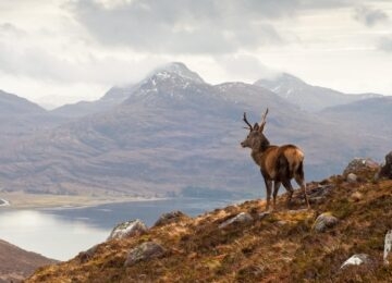 Scottish Highlands thumbnail