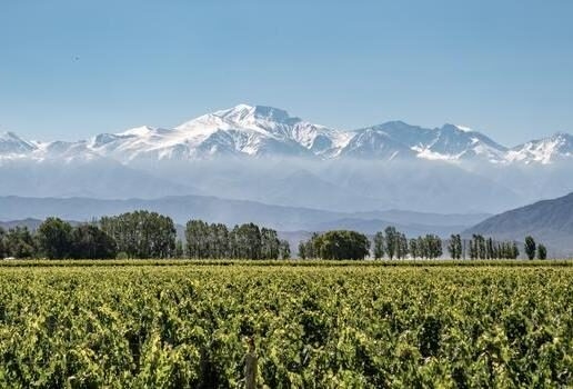 A boat trip into the mist at Brazil’s Iguazú Falls, peaceful vineyards beneath Argentina’s snow-capped Aconcagua and a romantic picnic beside Chile’s otherworldly Atacama lagoons.