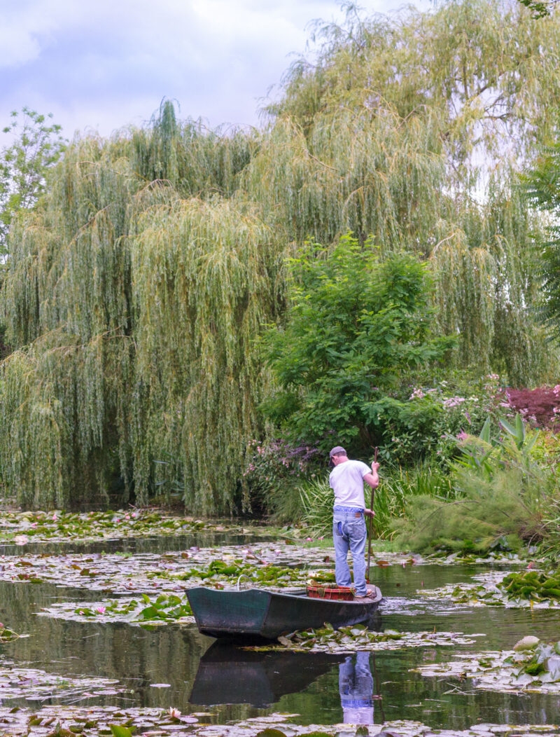 A man on a canoe in a beautiful garden pond at Giverny in Normandy.