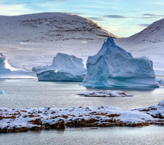 A cluster of giant icebergs rising from a fjord.