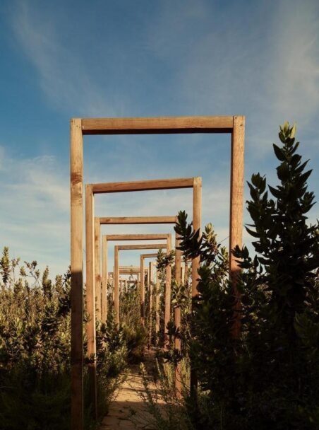 The Best Wellness Retreats in Mexico