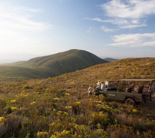 A group of people standing next to a 4x4 vehicle on a tour in Grootbos Private Reserve in South Africa.