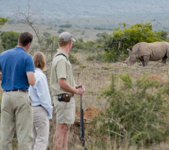 Onlookers observing a rhino in the wild at Kwandwe Private Game Reserve in South Africa.