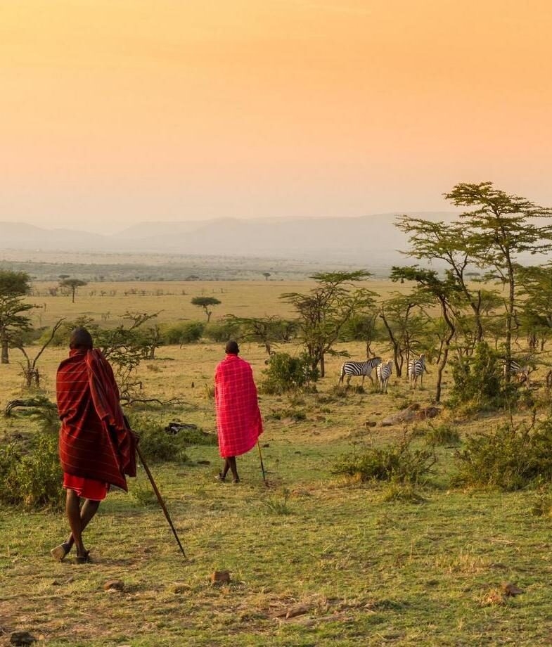 Guided bush walk in the Mara conservancies with local Maasai