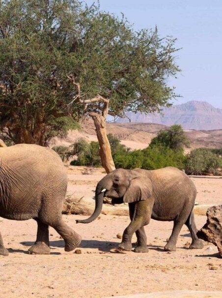 When Is the Best Time to Visit South Africa?