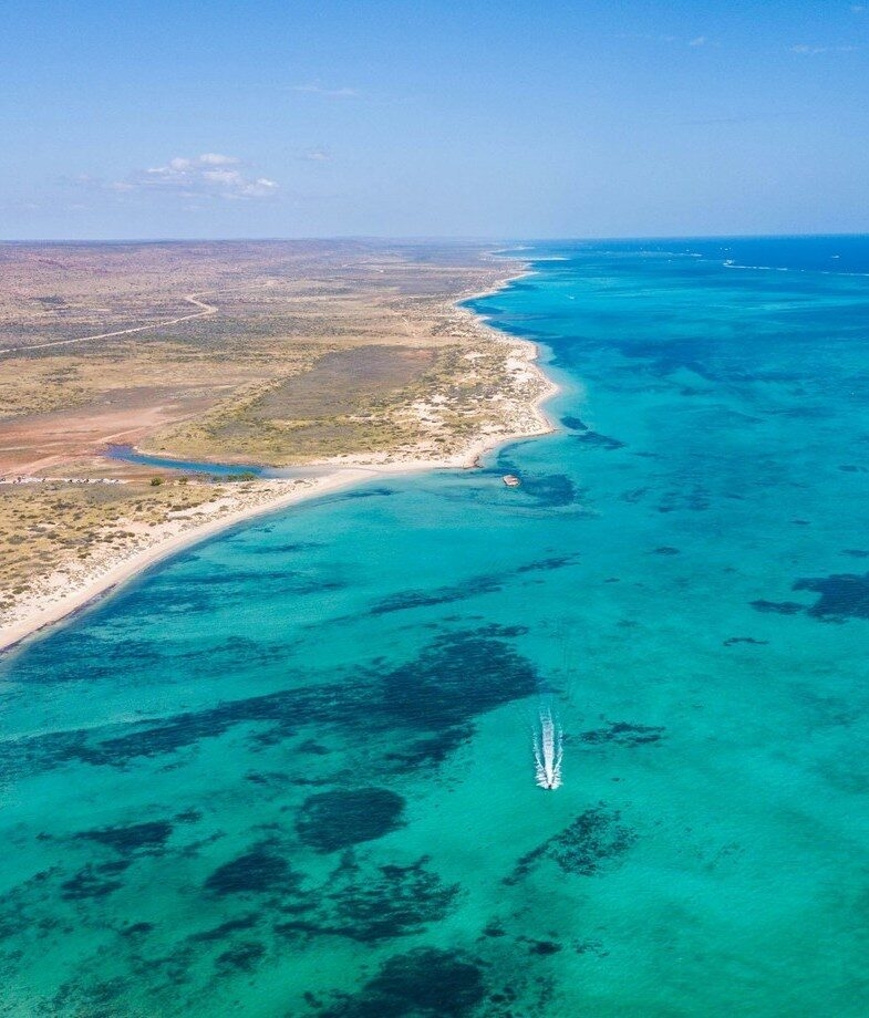 A green sea turtle glides through the coral gardens of the Great Barrier Reef and the vast, clear waters of the Ningaloo Reef stretch along the coast. The best places in Australia to encounter the Marine Big Five.