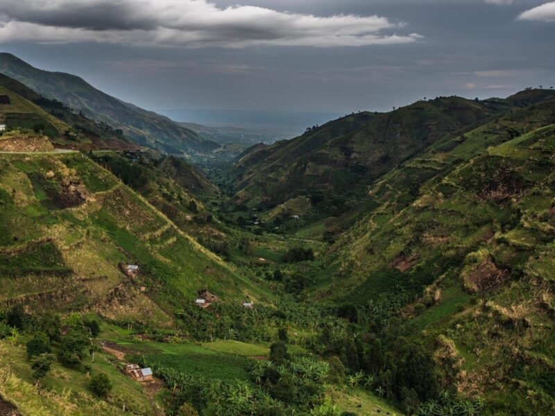 A scenic overlook of a lush valley and terraced hillsides in Bwindi Impenetrable Forest National Park.