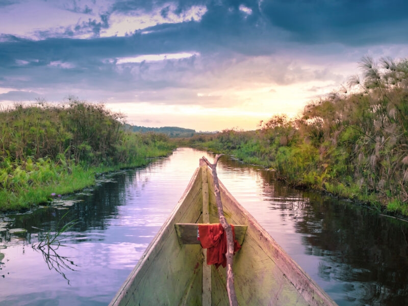 Point of view from a wooden dugout canoe navigating a narrow channel in a lush green swamp under a sunset sky.