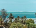 Lush green palm trees overlooking the turquoise Indian Ocean and a distant sandbank in Vilanculos, Mozambique.
