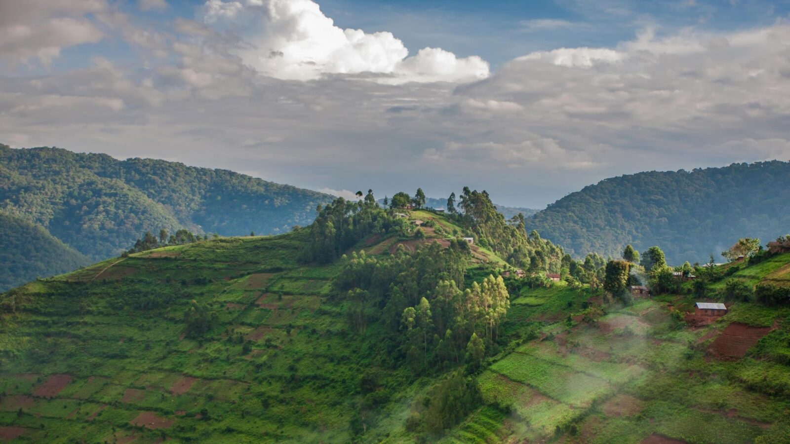 Lush green terraced hillsides with scattered trees and small houses under a cloudy blue sky in Bwindi Impenetrable Forest.