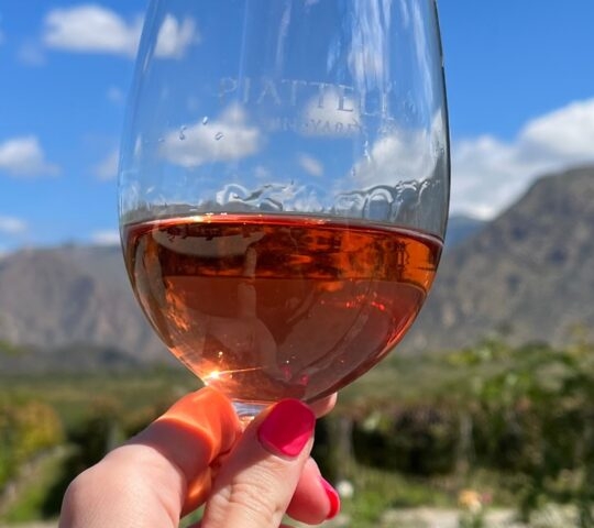 Hand holding a glass of pink wine in front of a sunny vineyard and mountain range in Cafayate, Argentina.