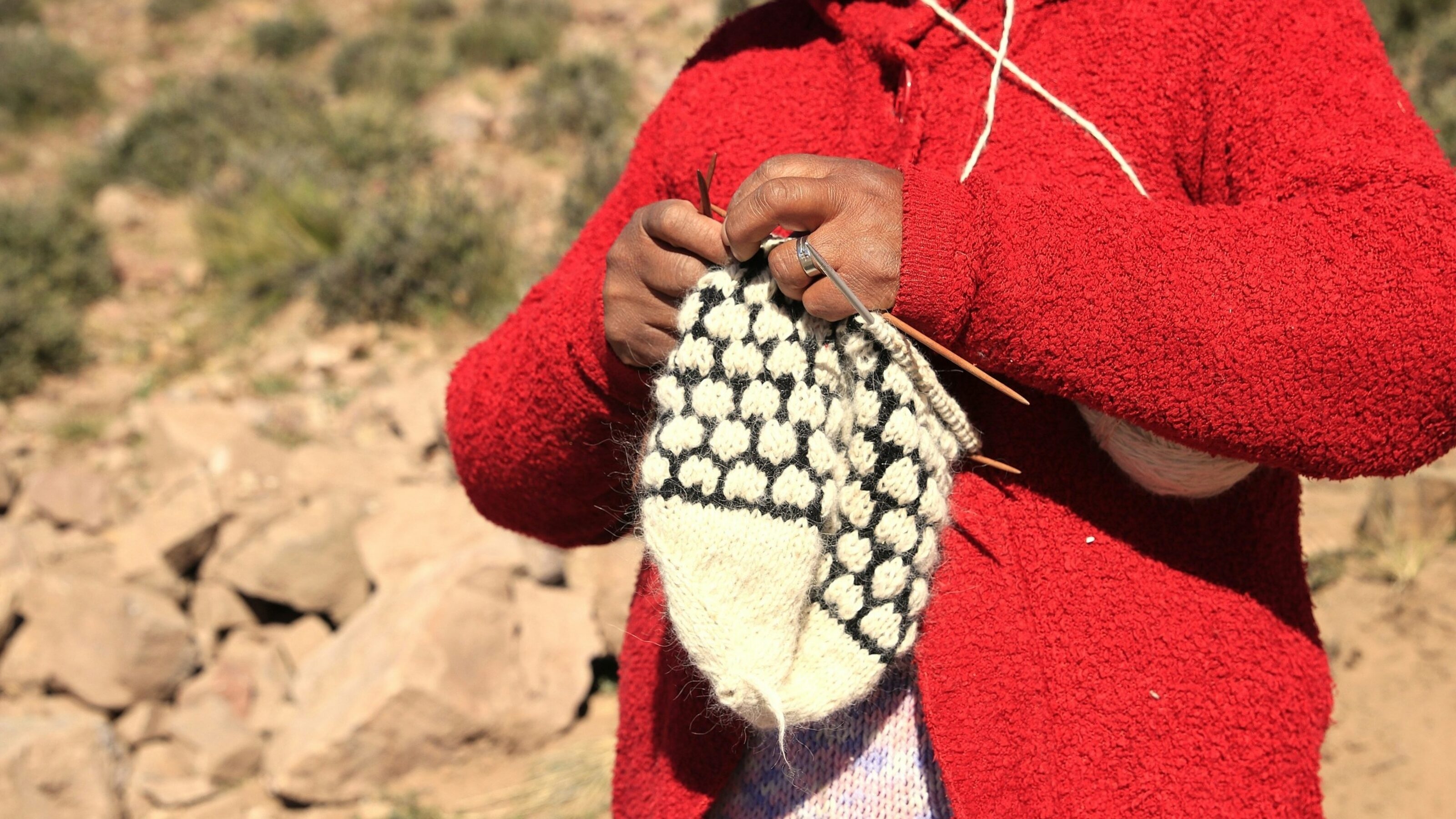 Close-up of hands using wooden needles to knit a black and white patterned wool garment outdoors.