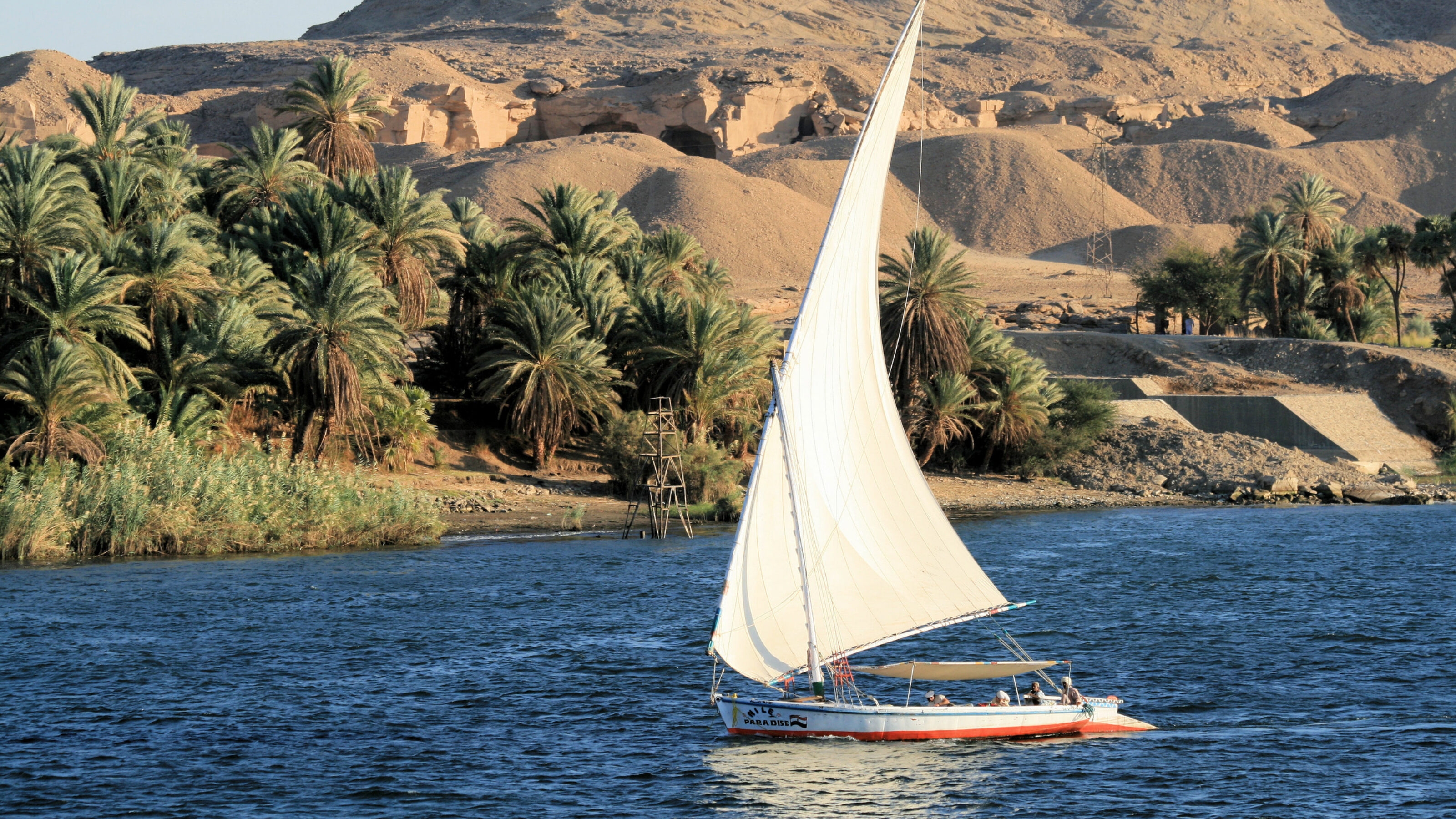 A white-sailed felucca boat sails on the Nile River past a lush palm grove and sandy Egyptian hills.