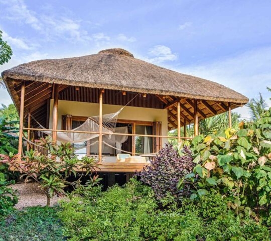 A thatched wooden villa surrounded by greenery at Zuri Zanzibar
