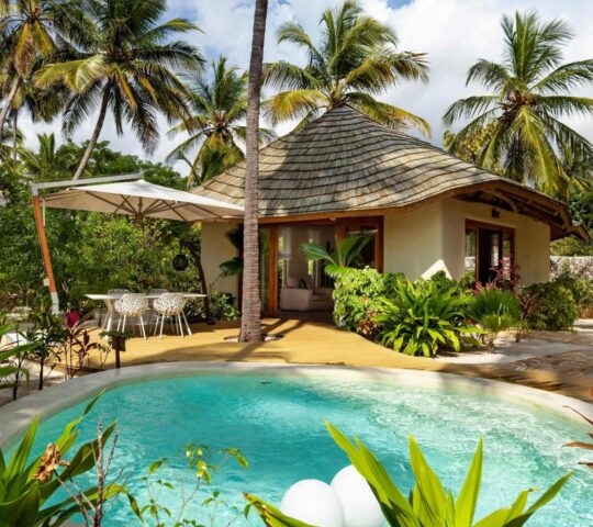 A cottage with thatched roof next to a private pool surrounded by palm trees at White Sands Zanzibar