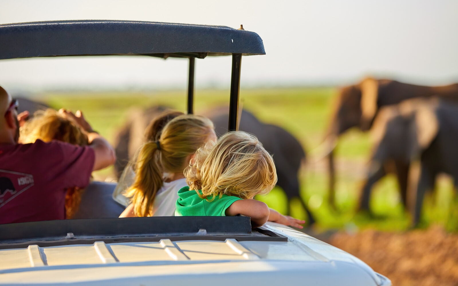 Spot Kenya's incredible wildlife on game drives