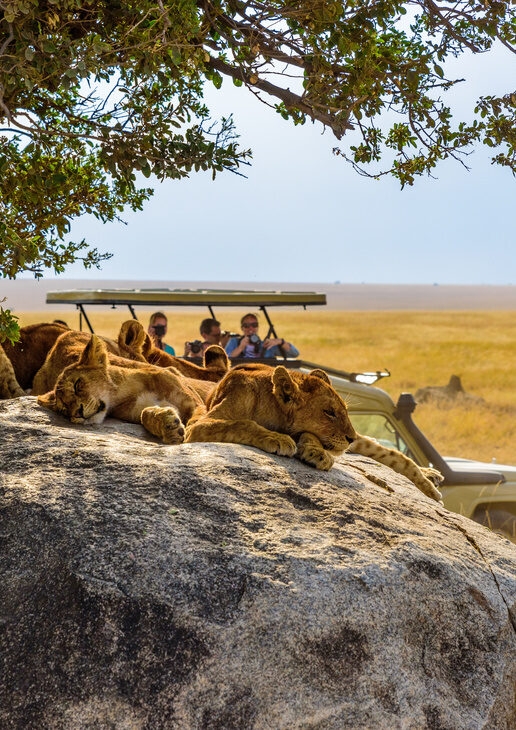 Go on game drives in the Maasai Mara, horse riding safaris in the Laikipia Plateau, or join the Warrior Academy at Saruni Samburu