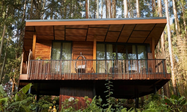 One&Only Gorilla’s Nest