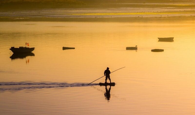 Silhouette of a person on a boat using a long pole in golden, shimmering water during sunset.