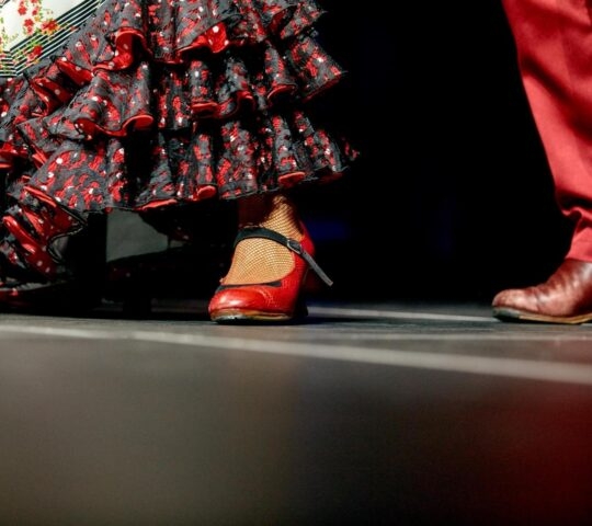 close up shot of flamenco dancers' shoes mid performance