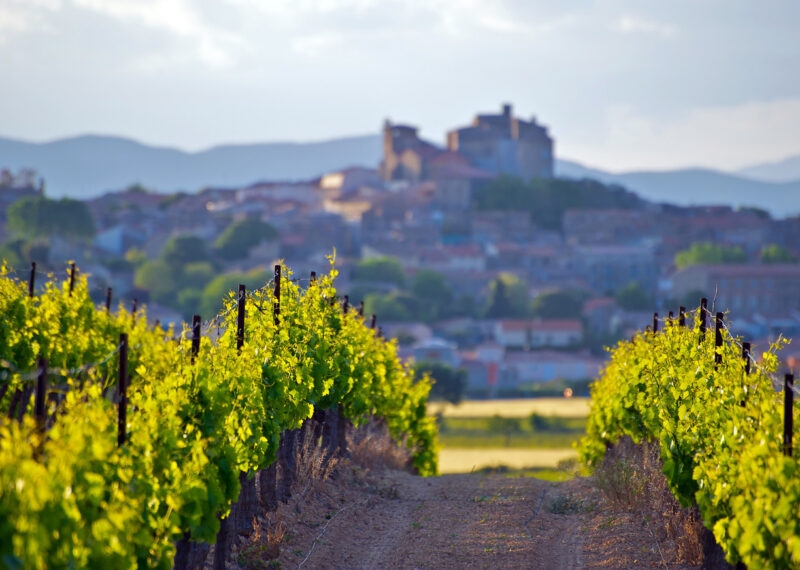 Vineyards in Languedoc, France, with a castle and hill town in the background
