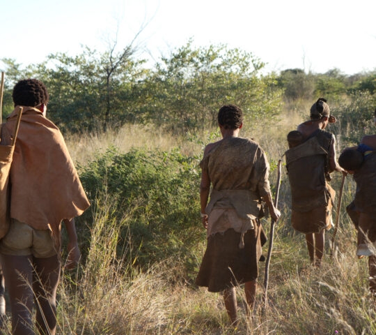 A group of people in traditional clothing walking through tall dry grass in a savanna landscape.
