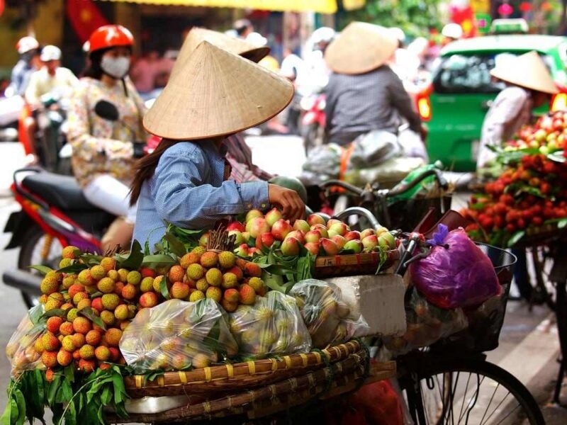 A street vendor in a conical hat organizes bundles of red lychees on a bicycle amidst busy city traffic.