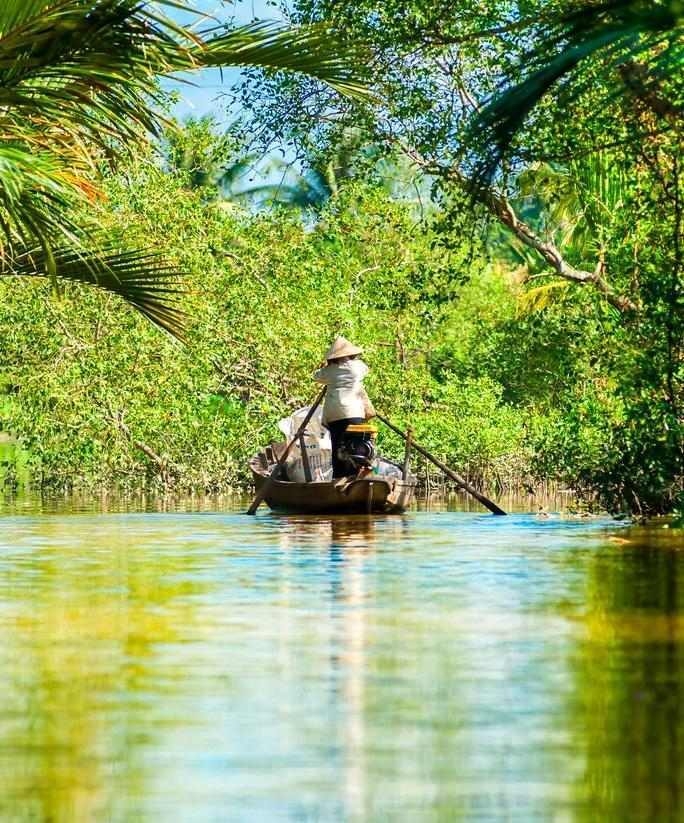 A person in a conical hat navigates a wooden boat through a narrow waterway surrounded by dense green jungle foliage.